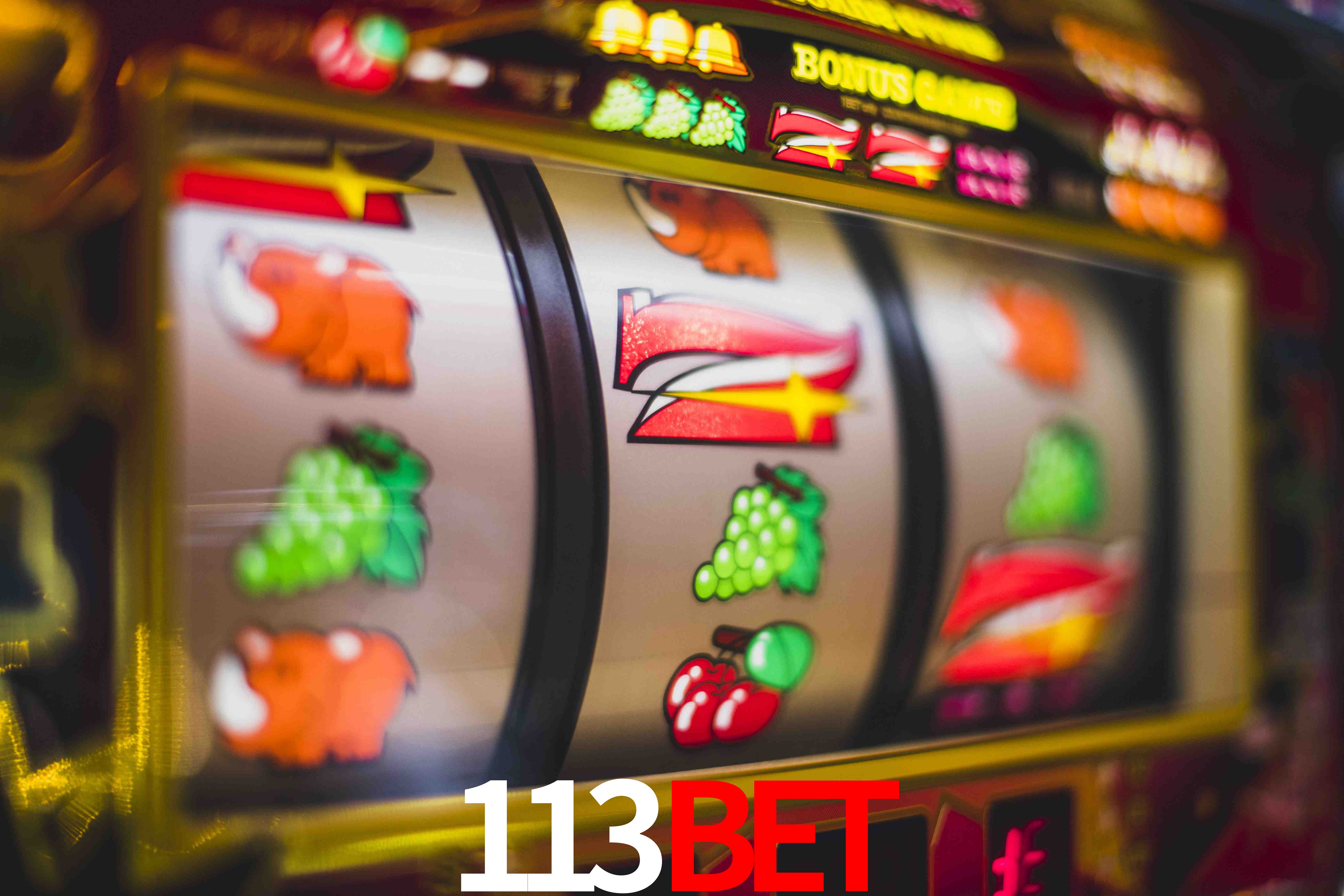 Crash Games Statistics 113bet
