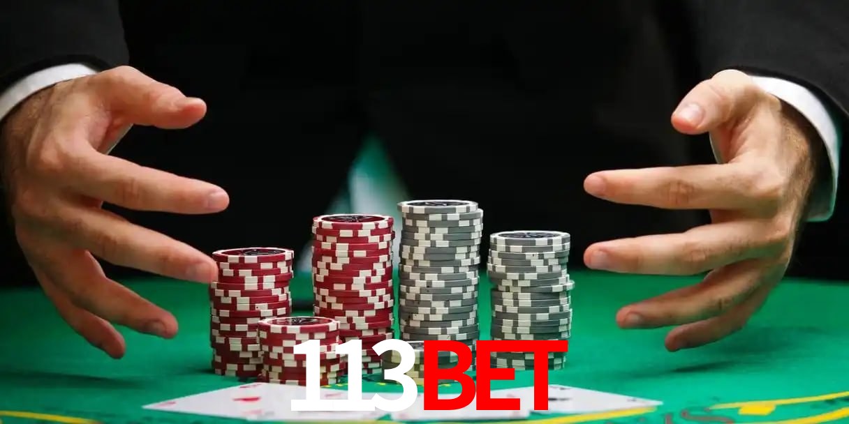 113bet telegram